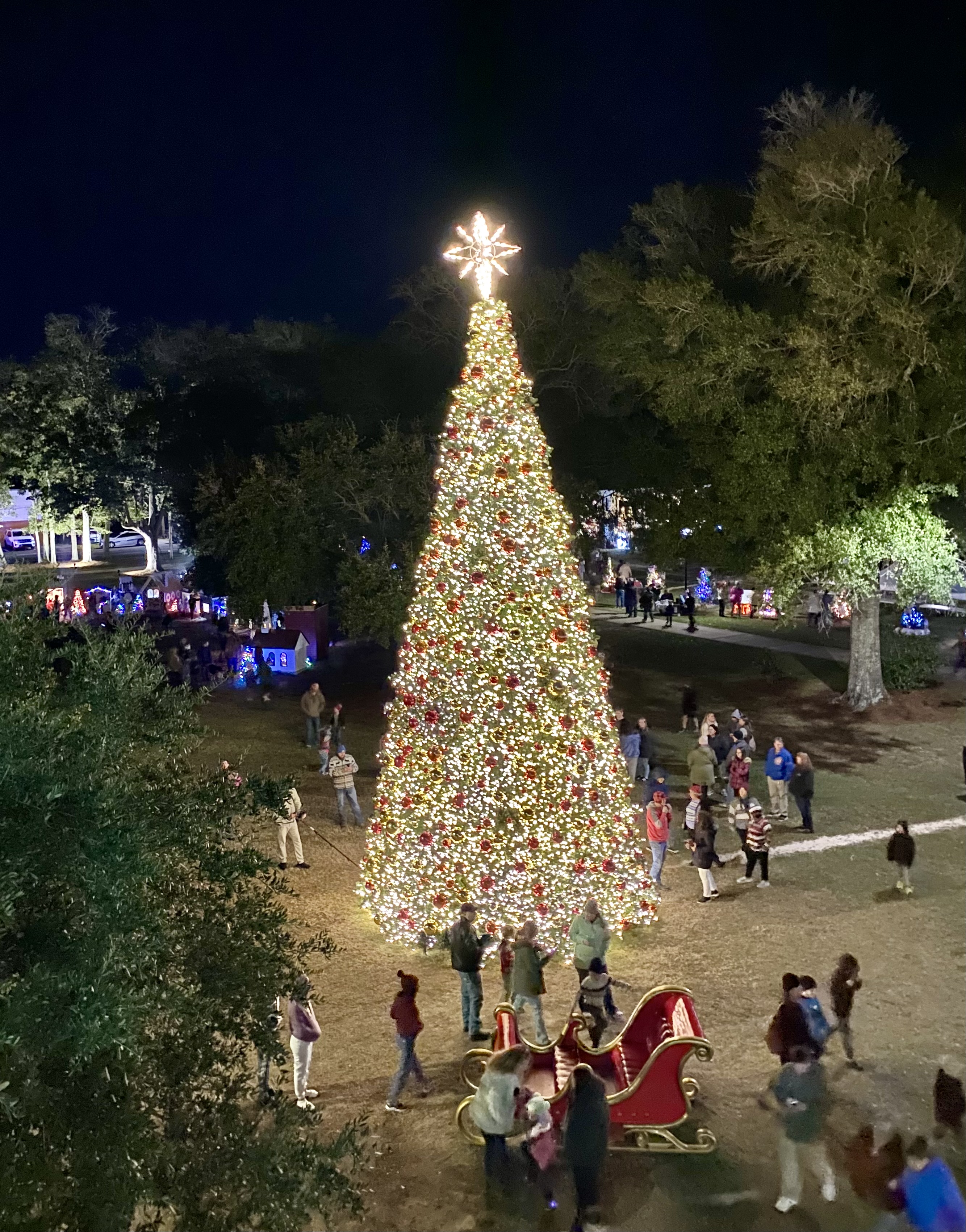 Tree from bridge vert