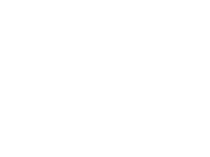 Visit Foley Logo